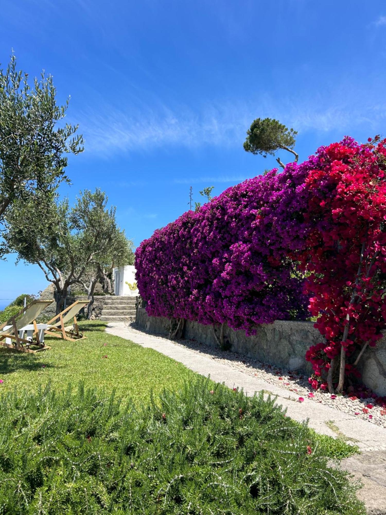 איסקיה Villa Inarime מראה חיצוני תמונה