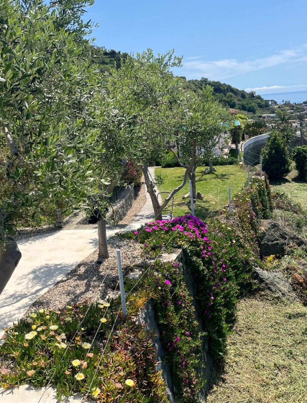 איסקיה Villa Inarime מראה חיצוני תמונה